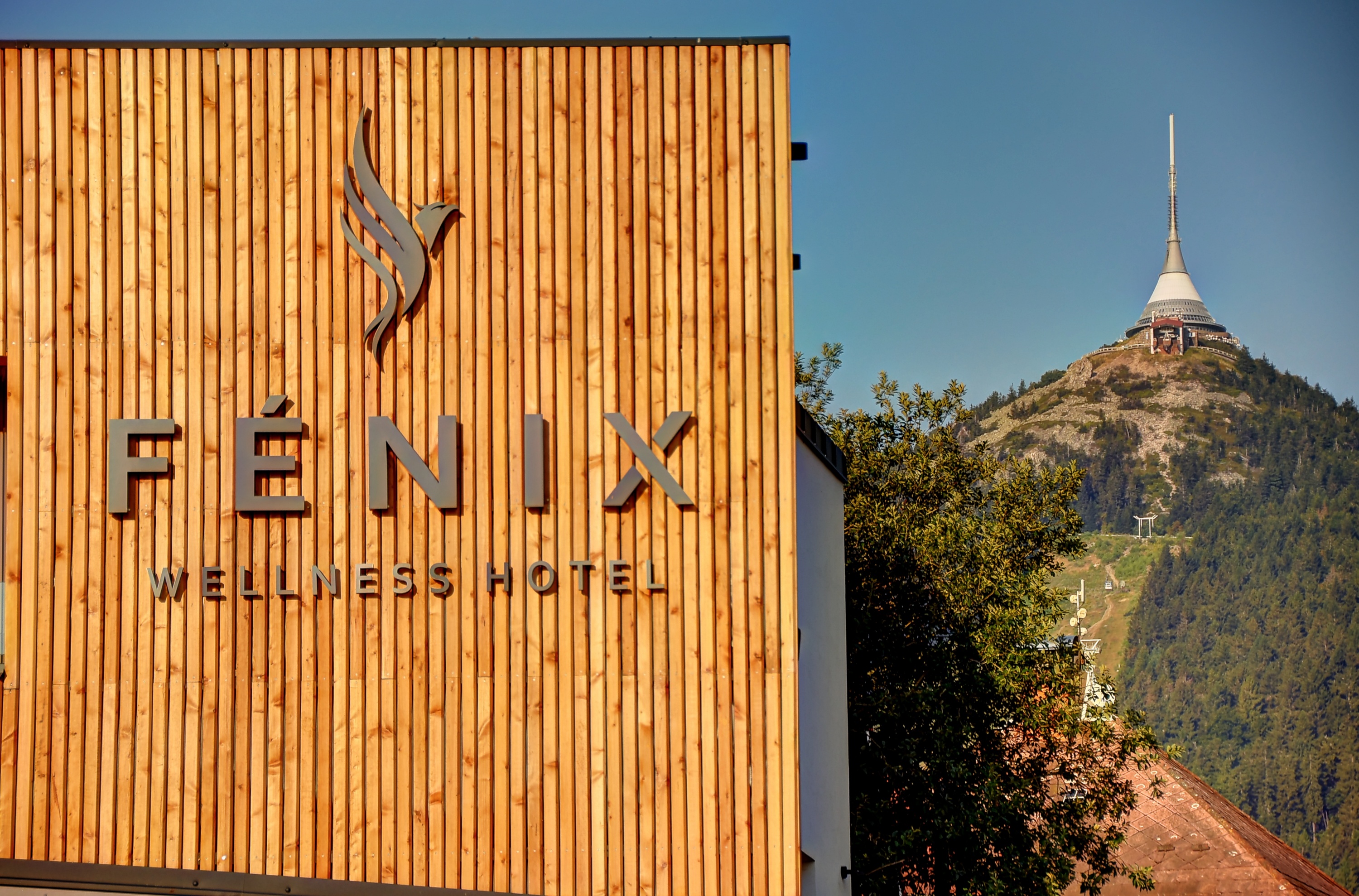 Wellness Hotel Fénix foto 4