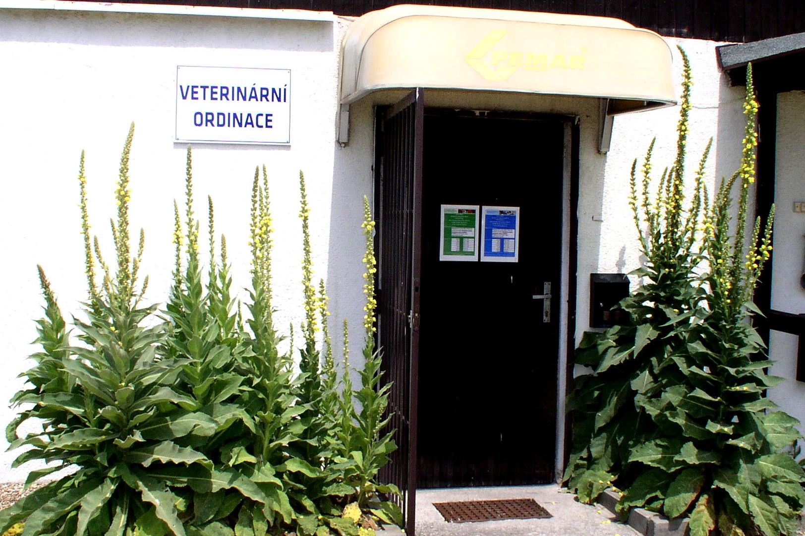 MVDr. Pavlína Hájková