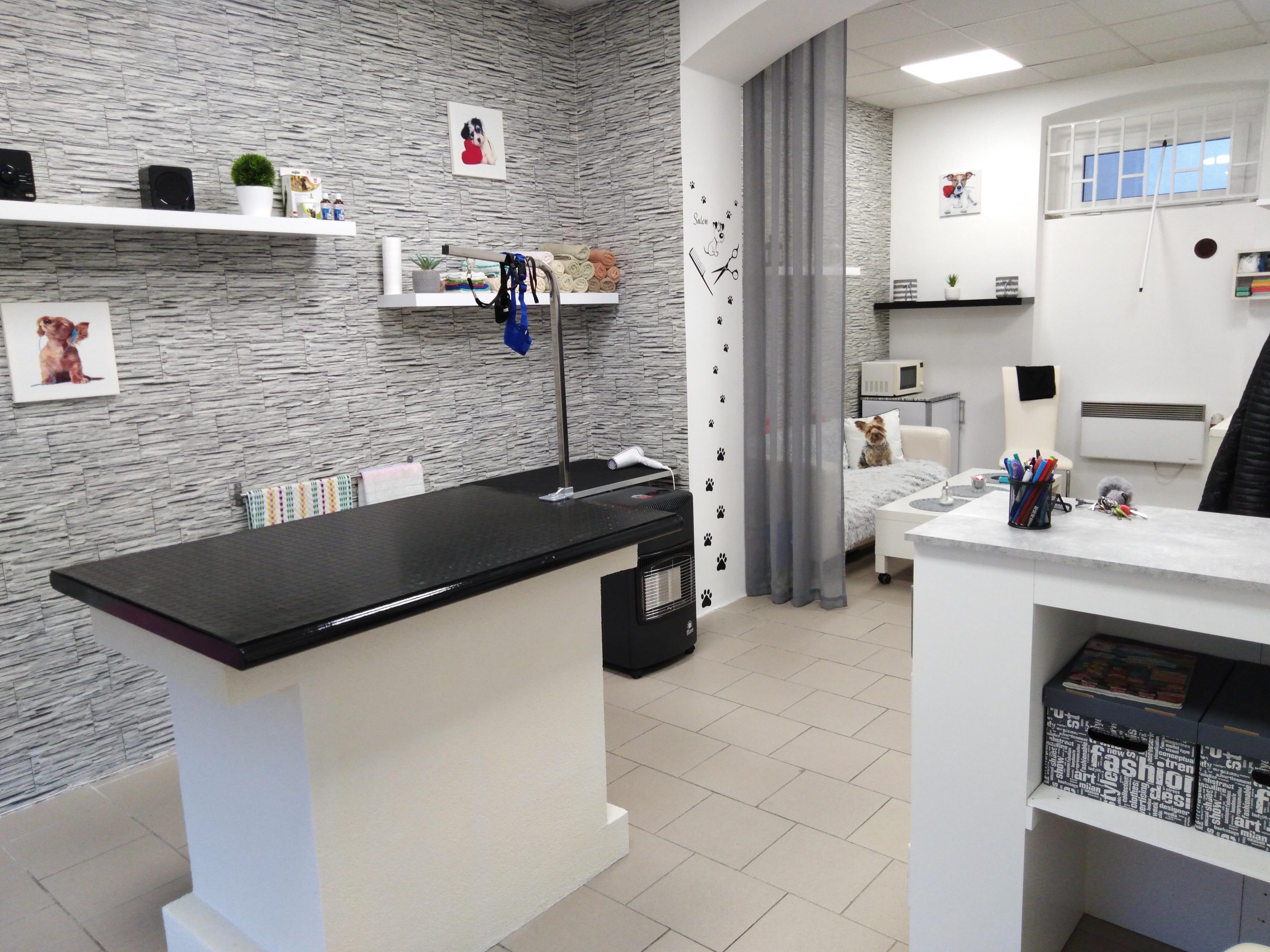 Andrea Thomasová - Psí salon ANDY foto 3