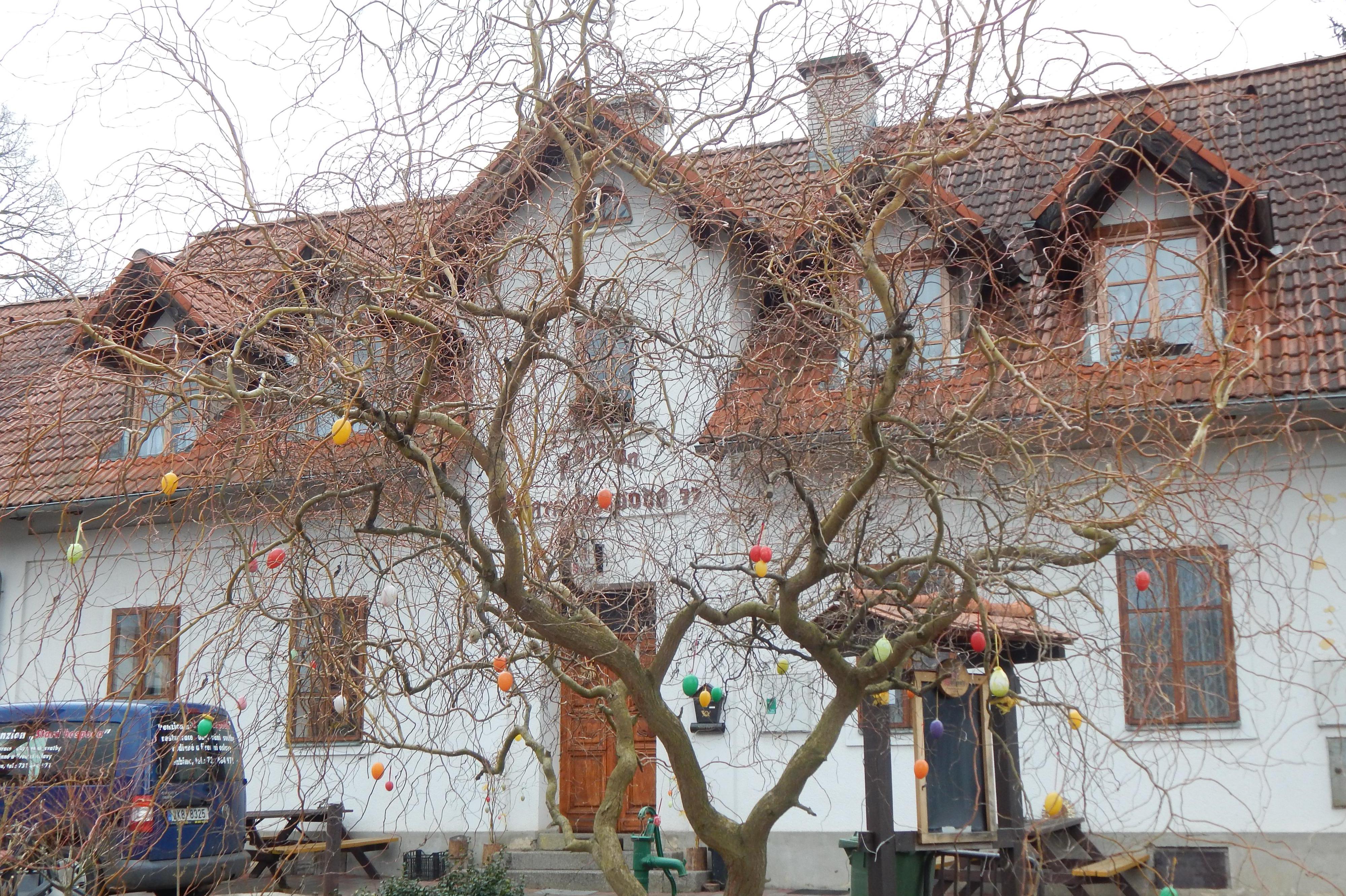 Roman Franěk - půjčovna lodí foto 1