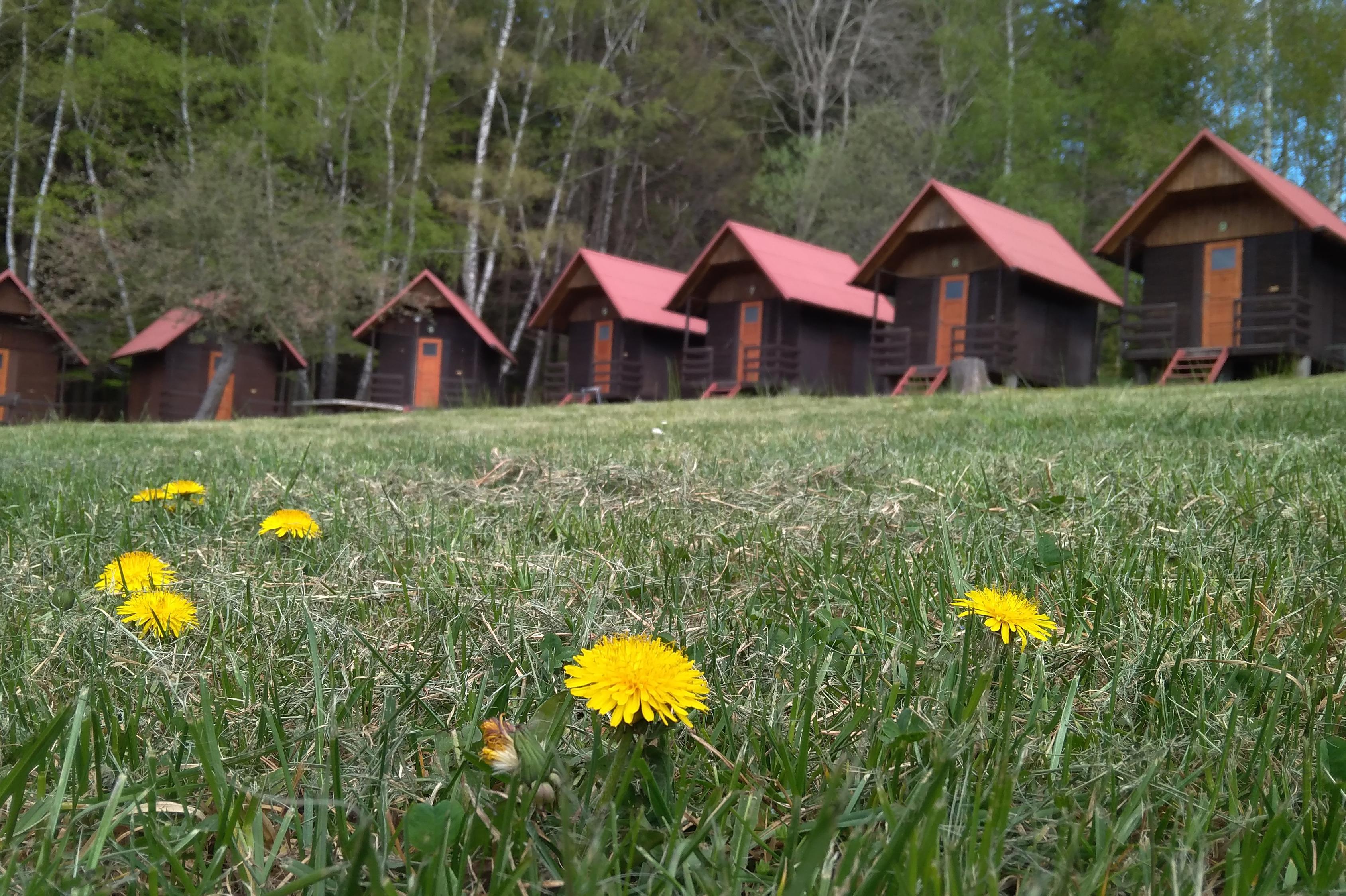 Dům dětí a mládeže Kyjov, příspěvková organizace města Kyjova