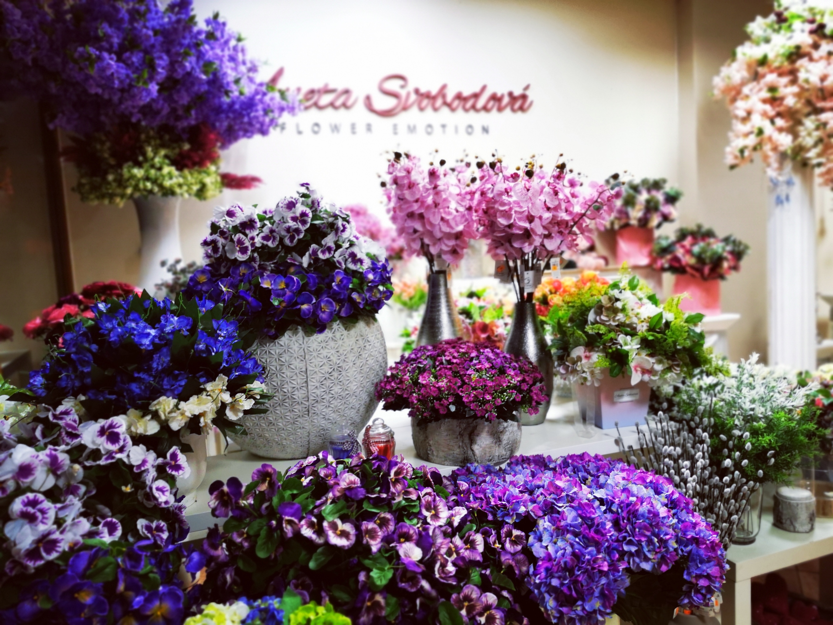 Květinářství - Aneta Svobodová foto 4