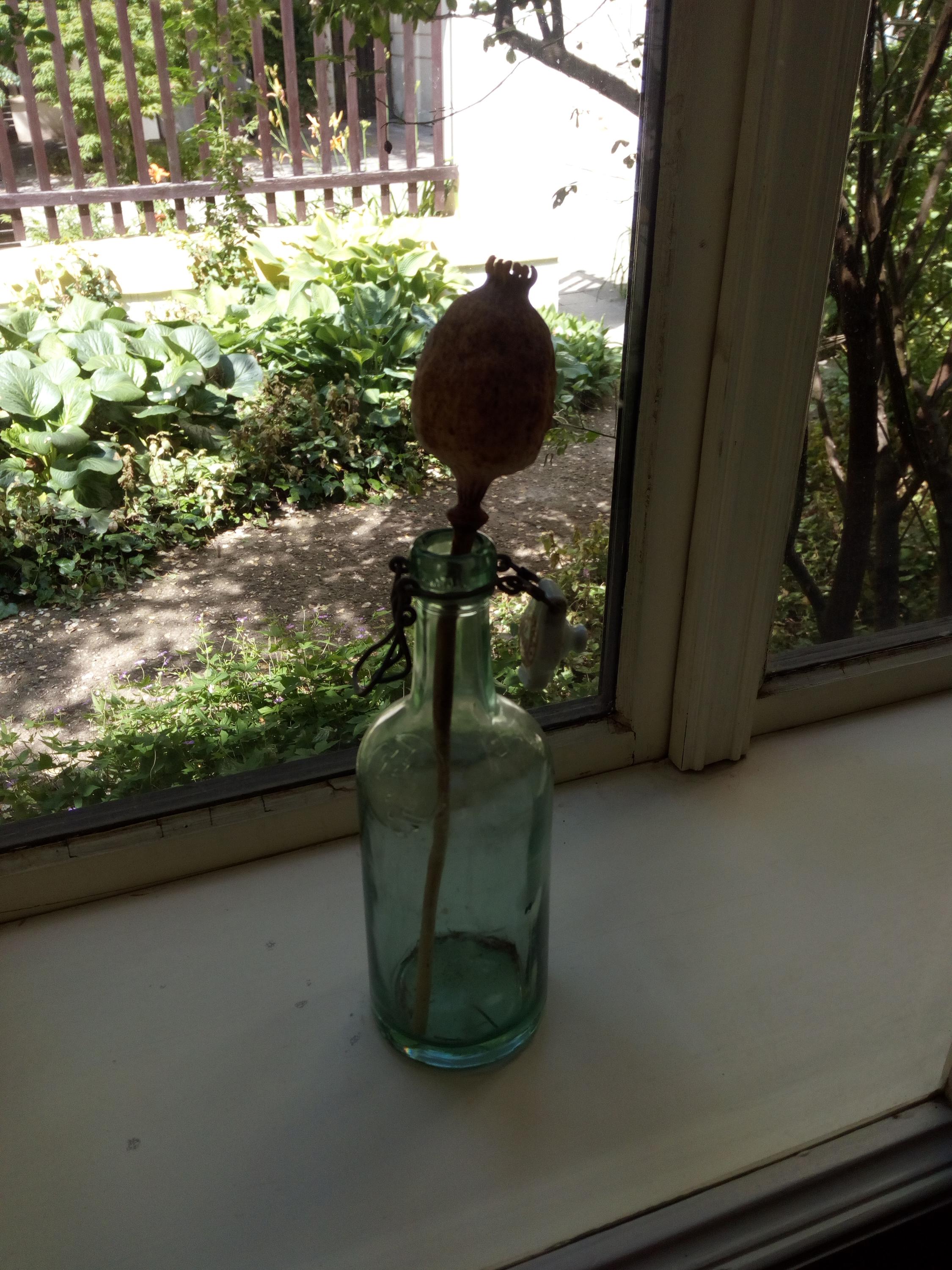 Ateliér Josefa Sudka foto 5