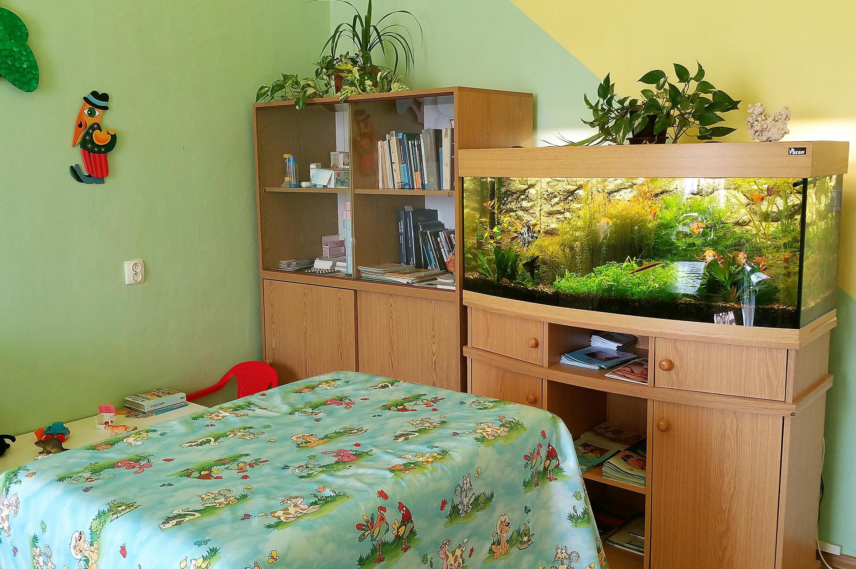 Praktický lékař pro děti a dorost - MUDr. František Švec foto 1