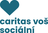 logo CARITAS - Vyšší odborná škola sociální Olomouc