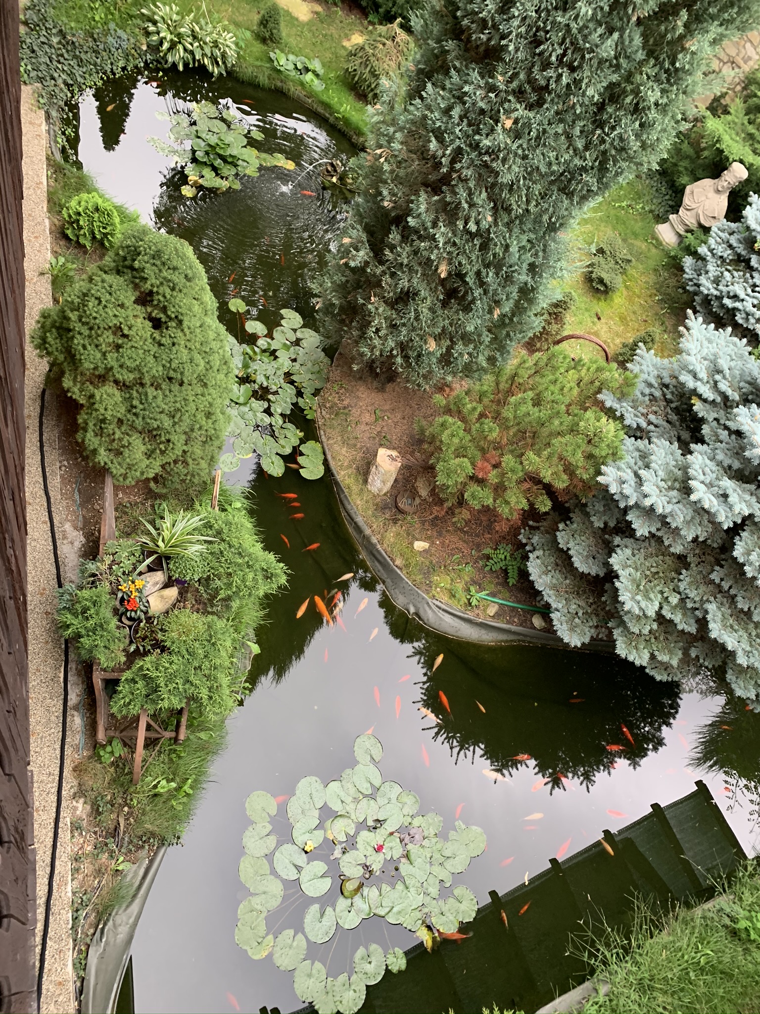 Hotel U lišky foto 2