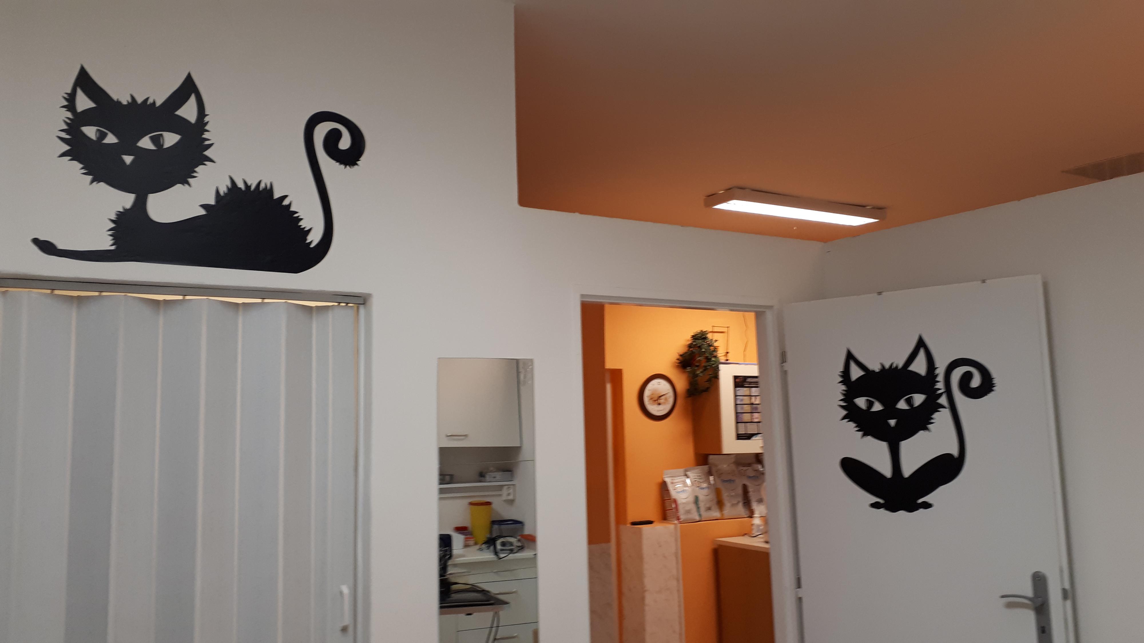 Veterinární ordinace Svobodník foto 3