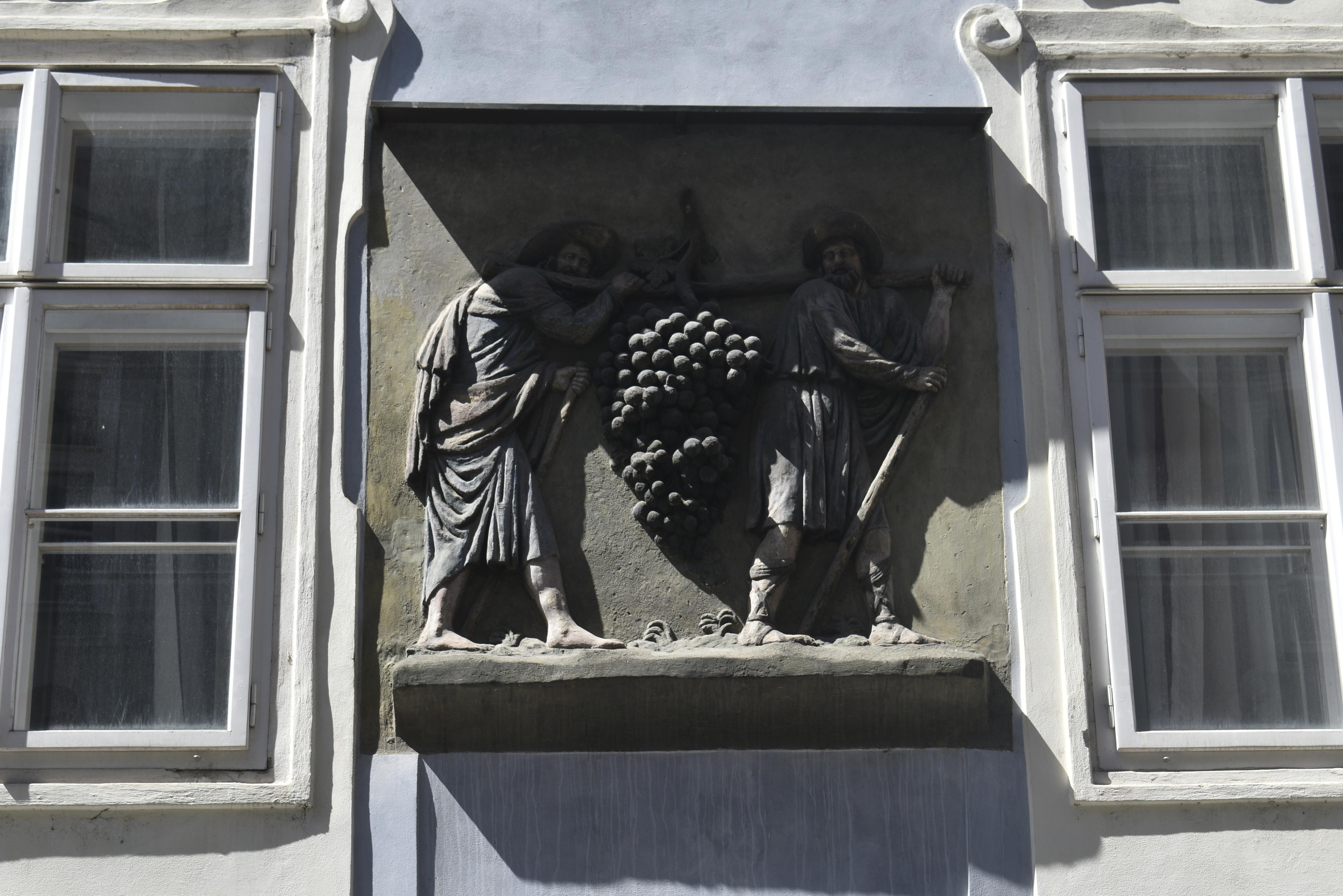 U modrého hroznu foto 2