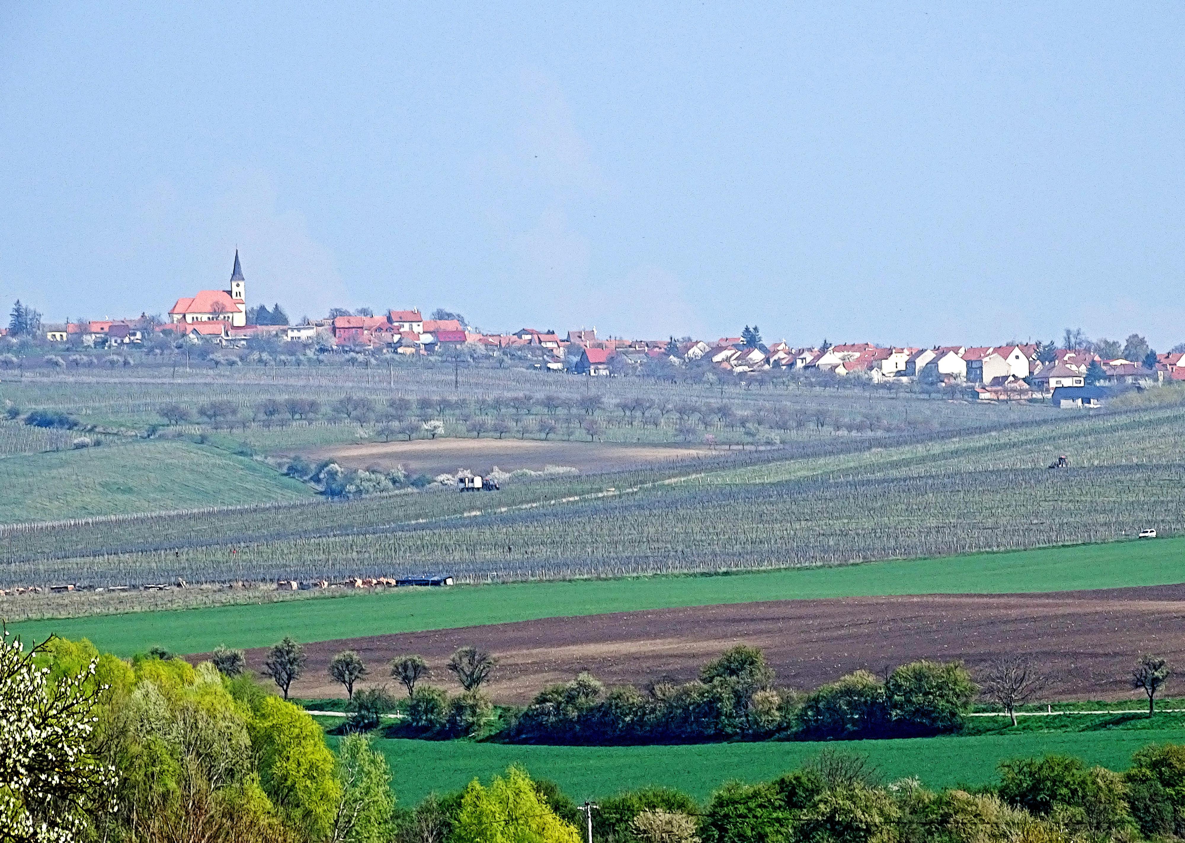 Vinný sklep Kraví Hora Bořetice foto 2