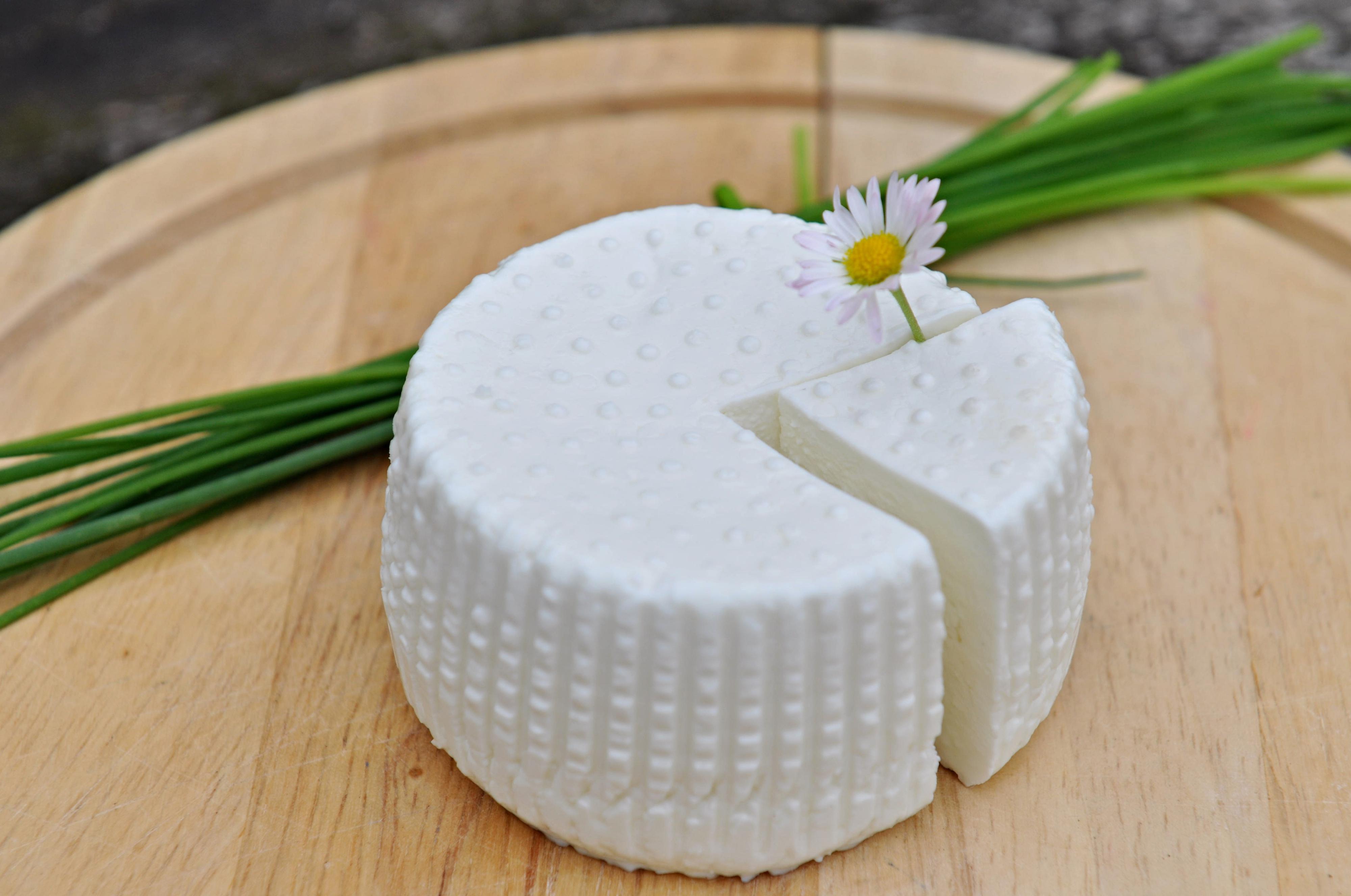 Dvorský statek foto 2