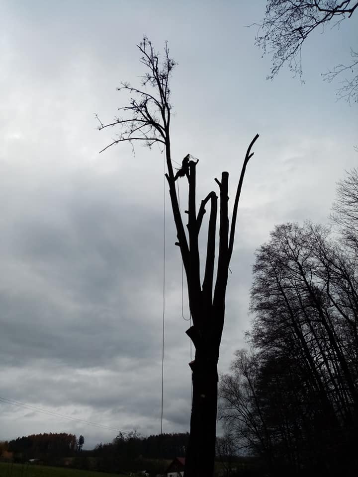 WOSZ, s.r.o. foto 1