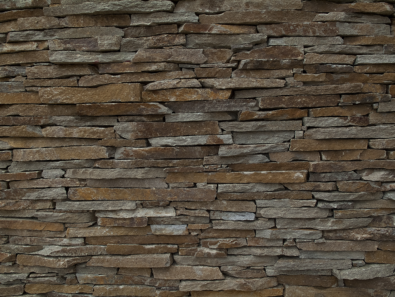 Stone Expert foto 4