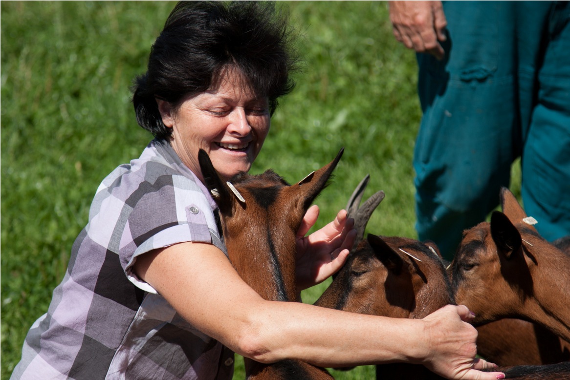 Dvorský statek foto 4