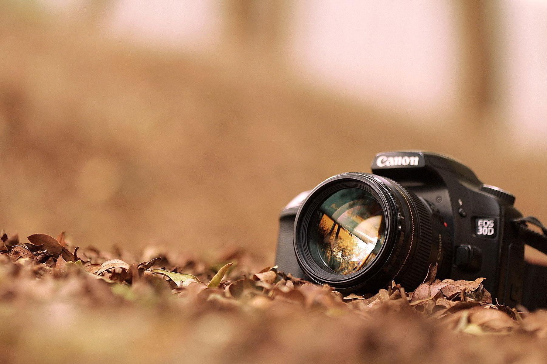 dmp video crew s.r.o.