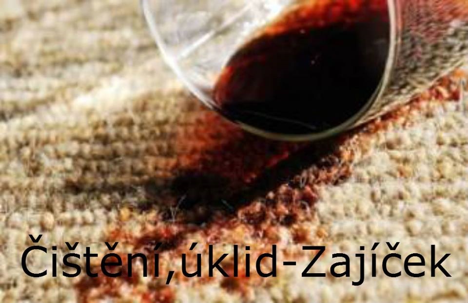 Čištění, úklid - Zajíček foto 3