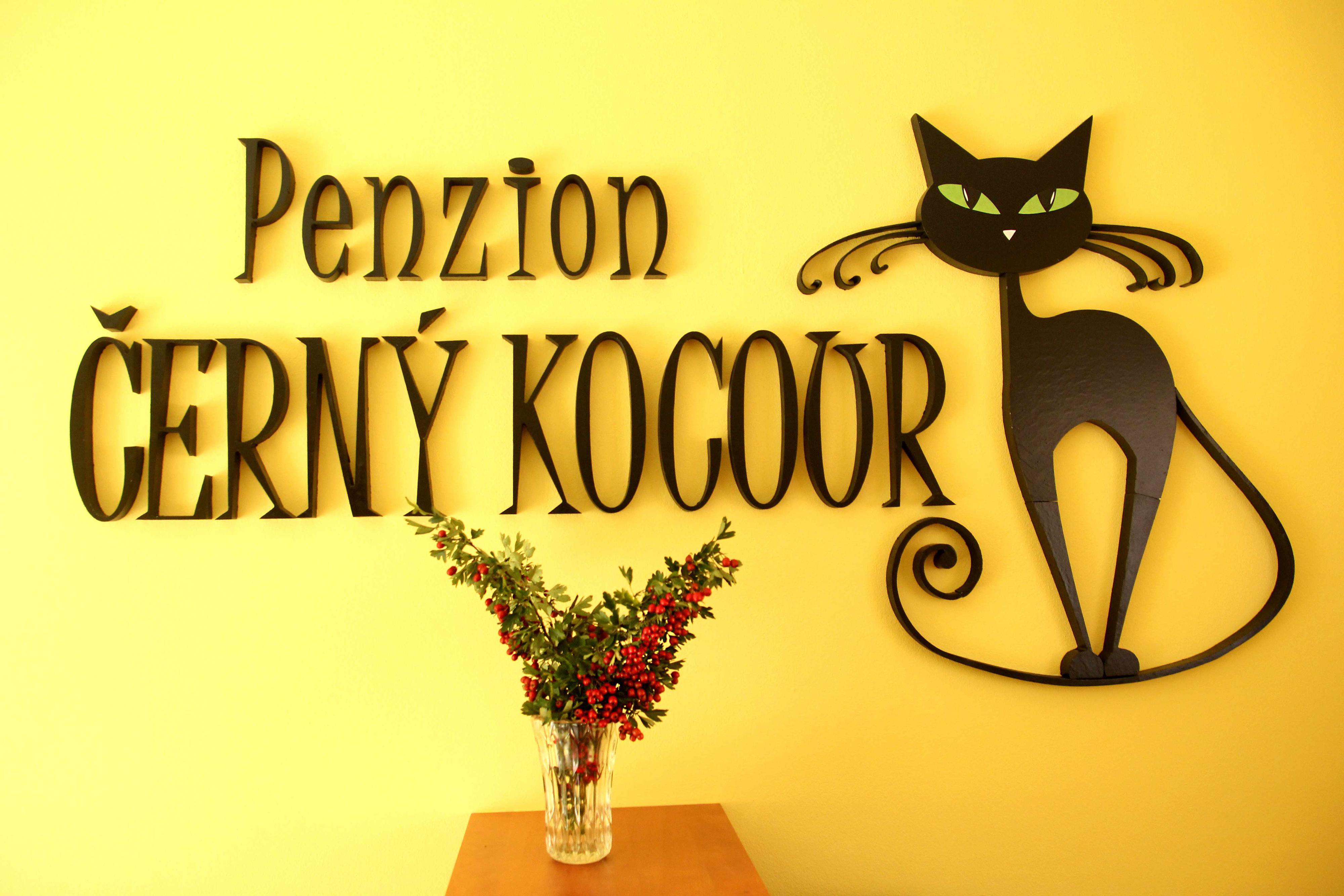 Penzion Černý kocour foto 5