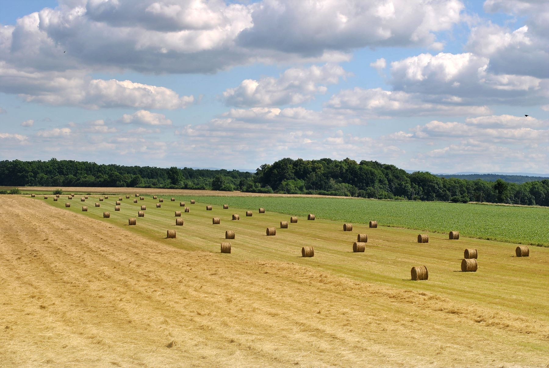 Peletkárna Uhersko foto 3