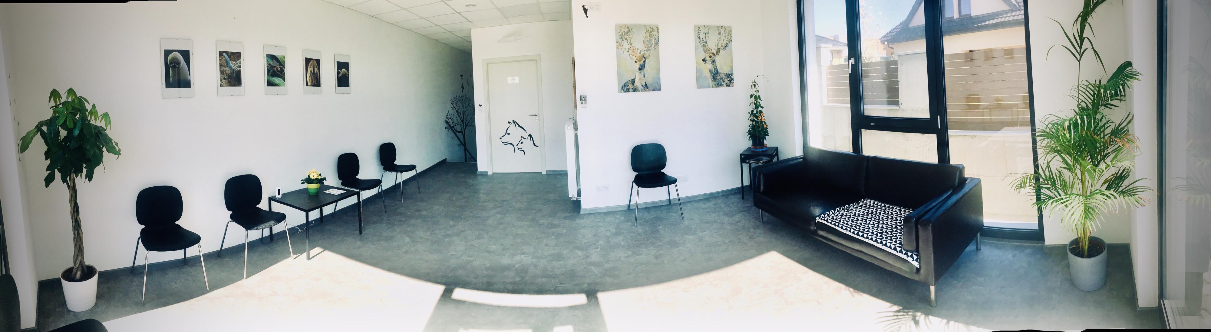 Veterinární klinika Jitřní - Černošice foto 4