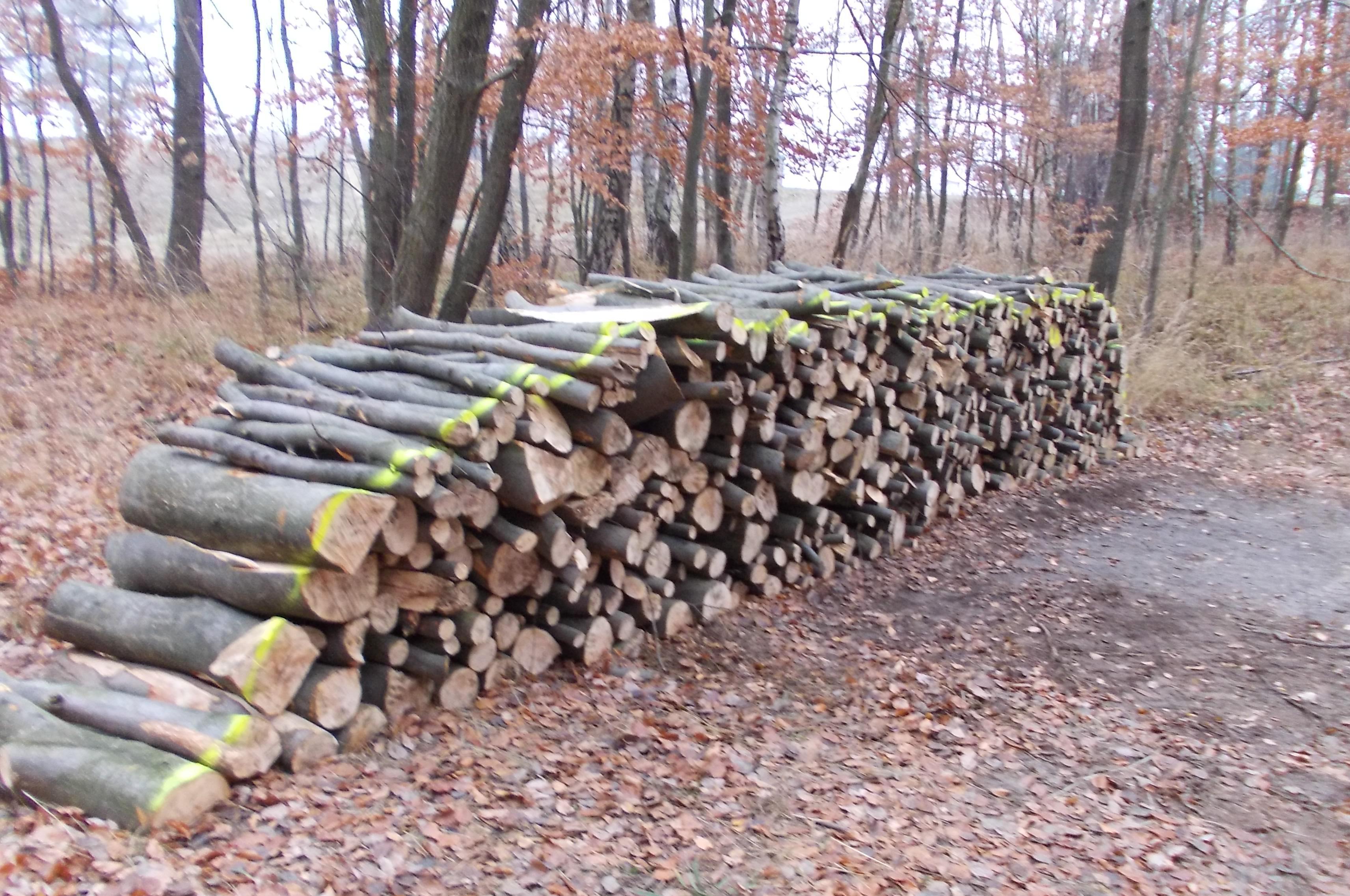 LB Holz Luboš Burian