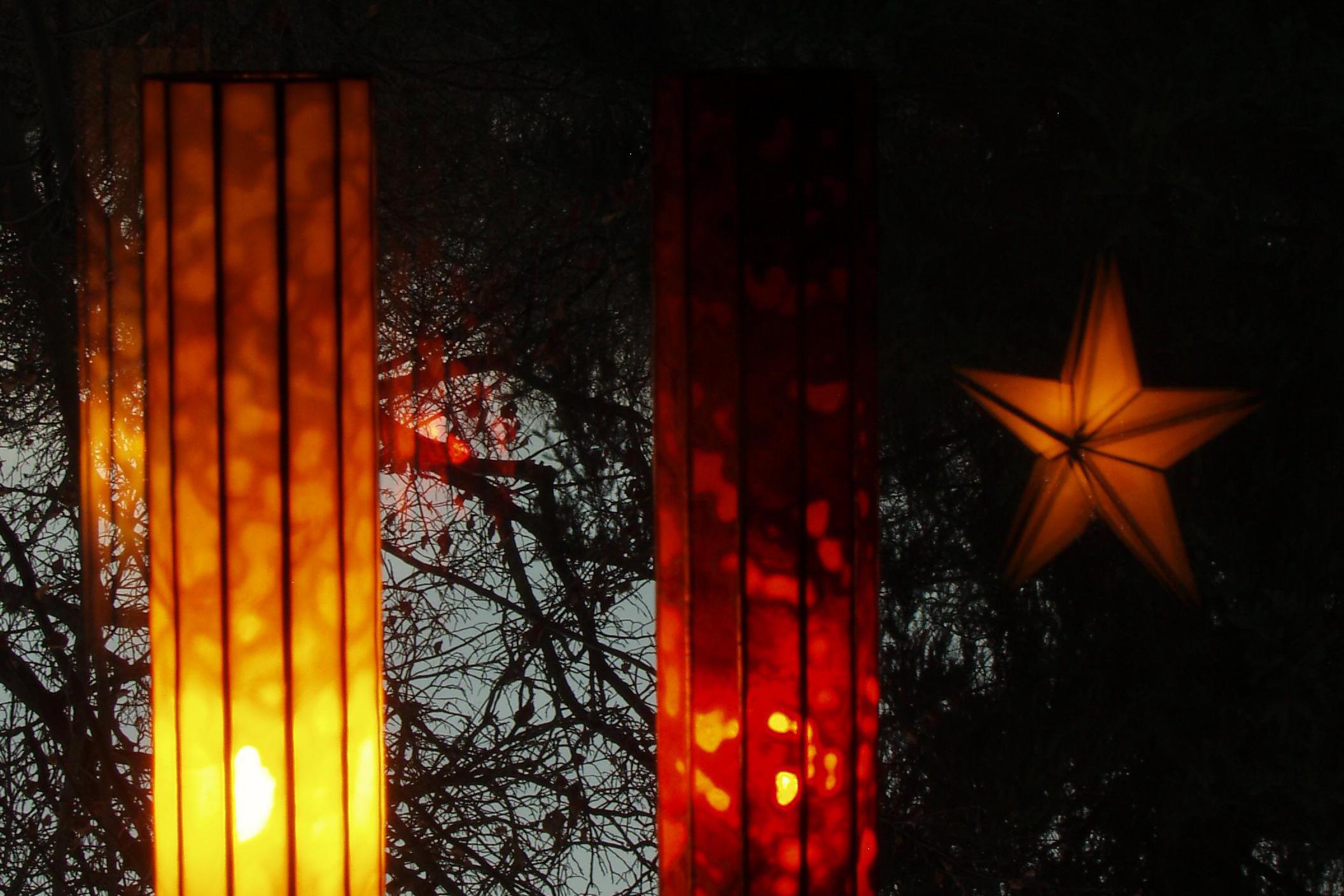 Martina Křepelková