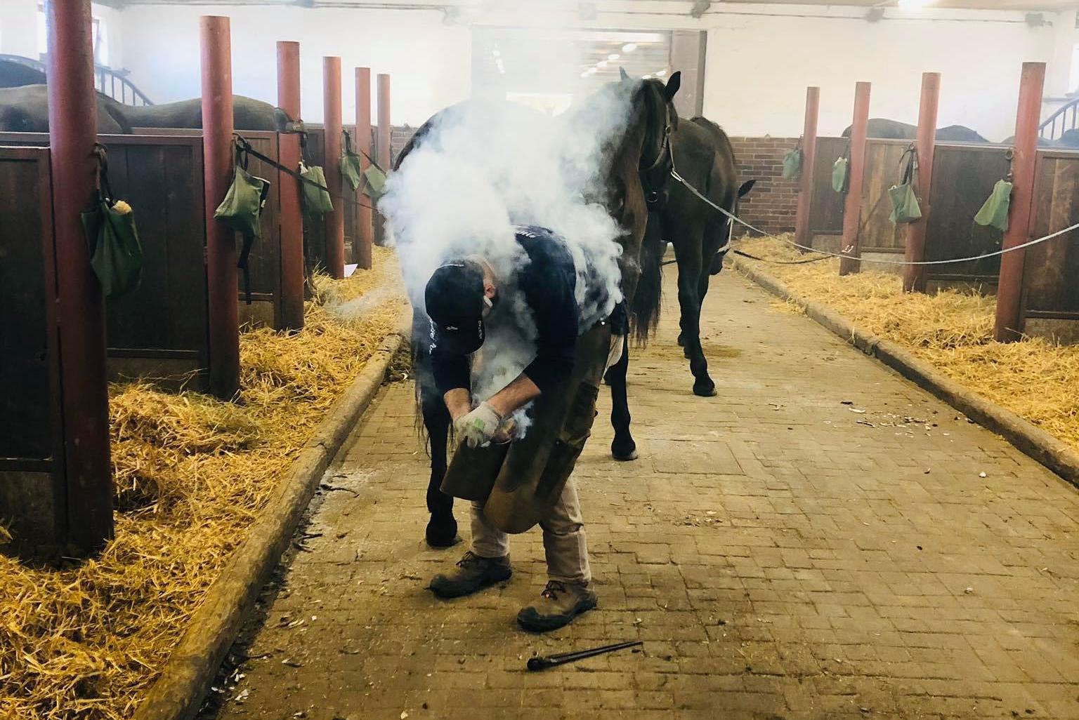 Podkovářství Bureš