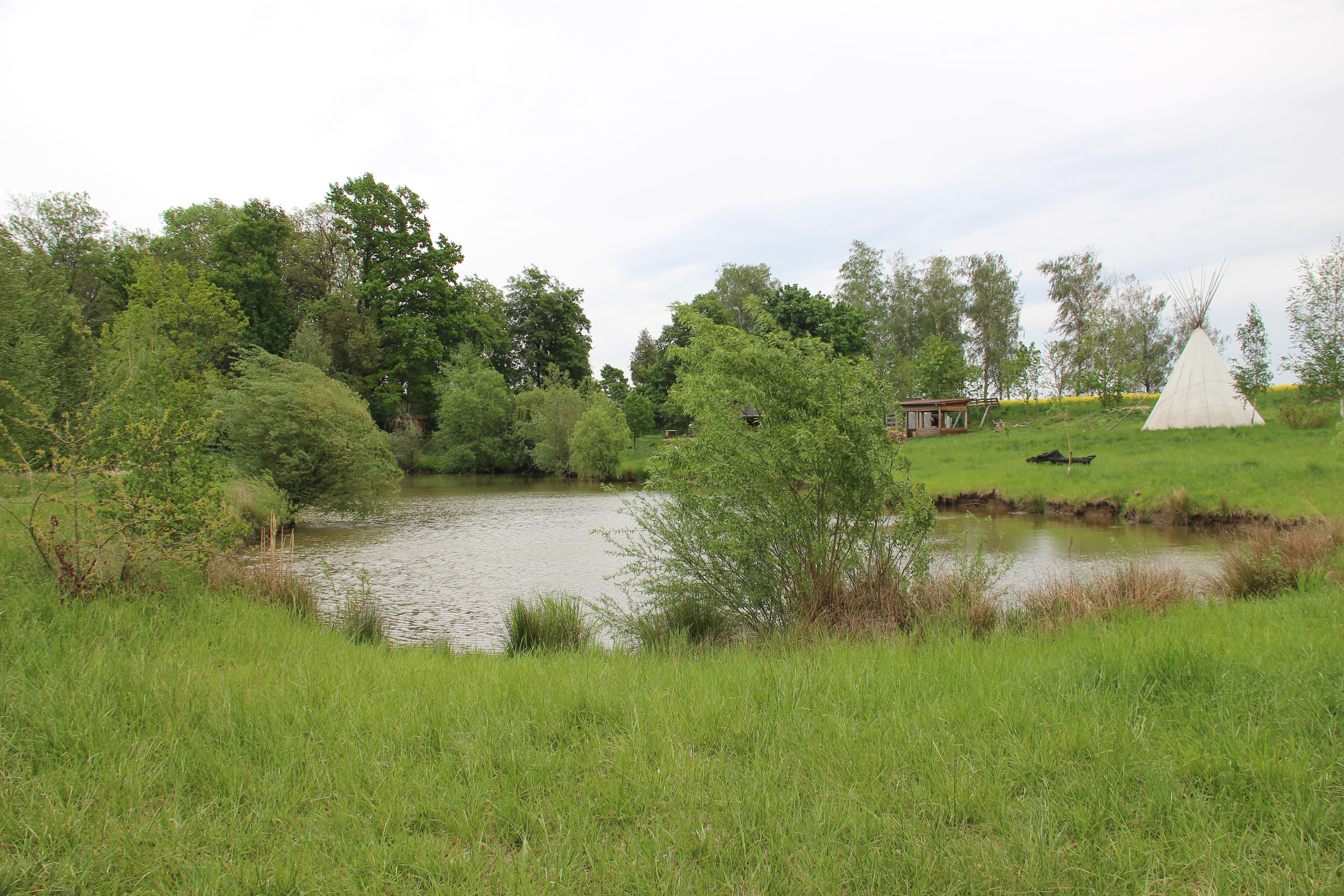 Lesní mateřská škola Bažinka foto 4