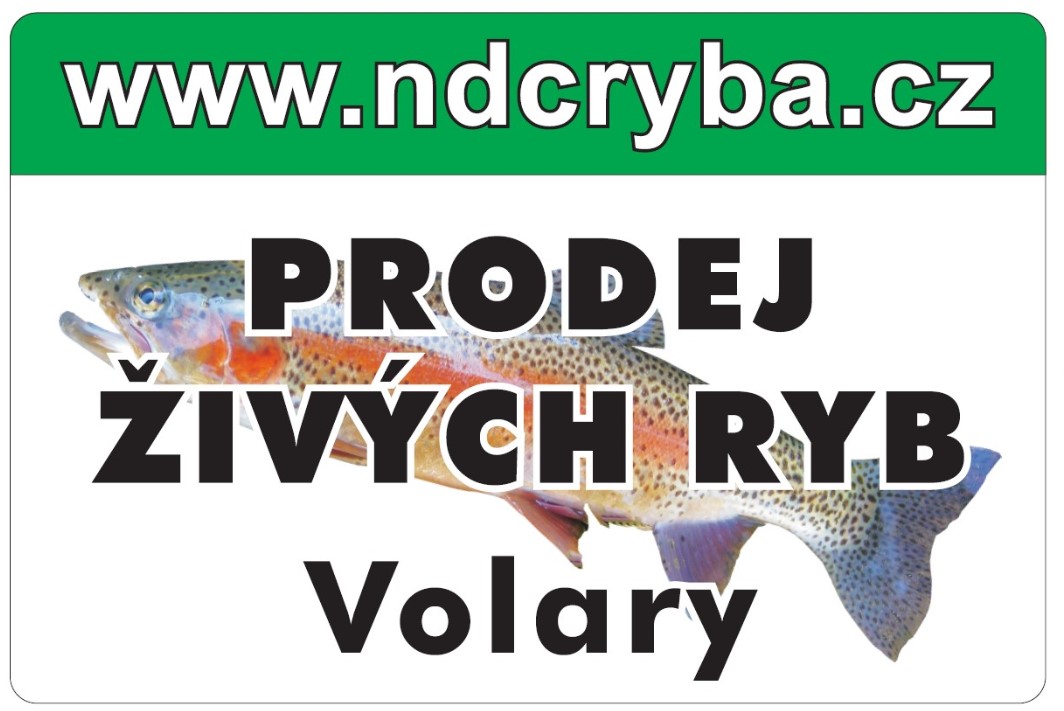 NDCryba foto 2