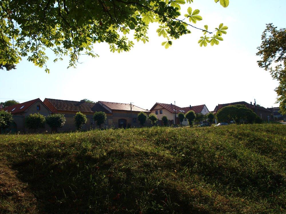 Zvířecí pohoda, z.s. foto 2
