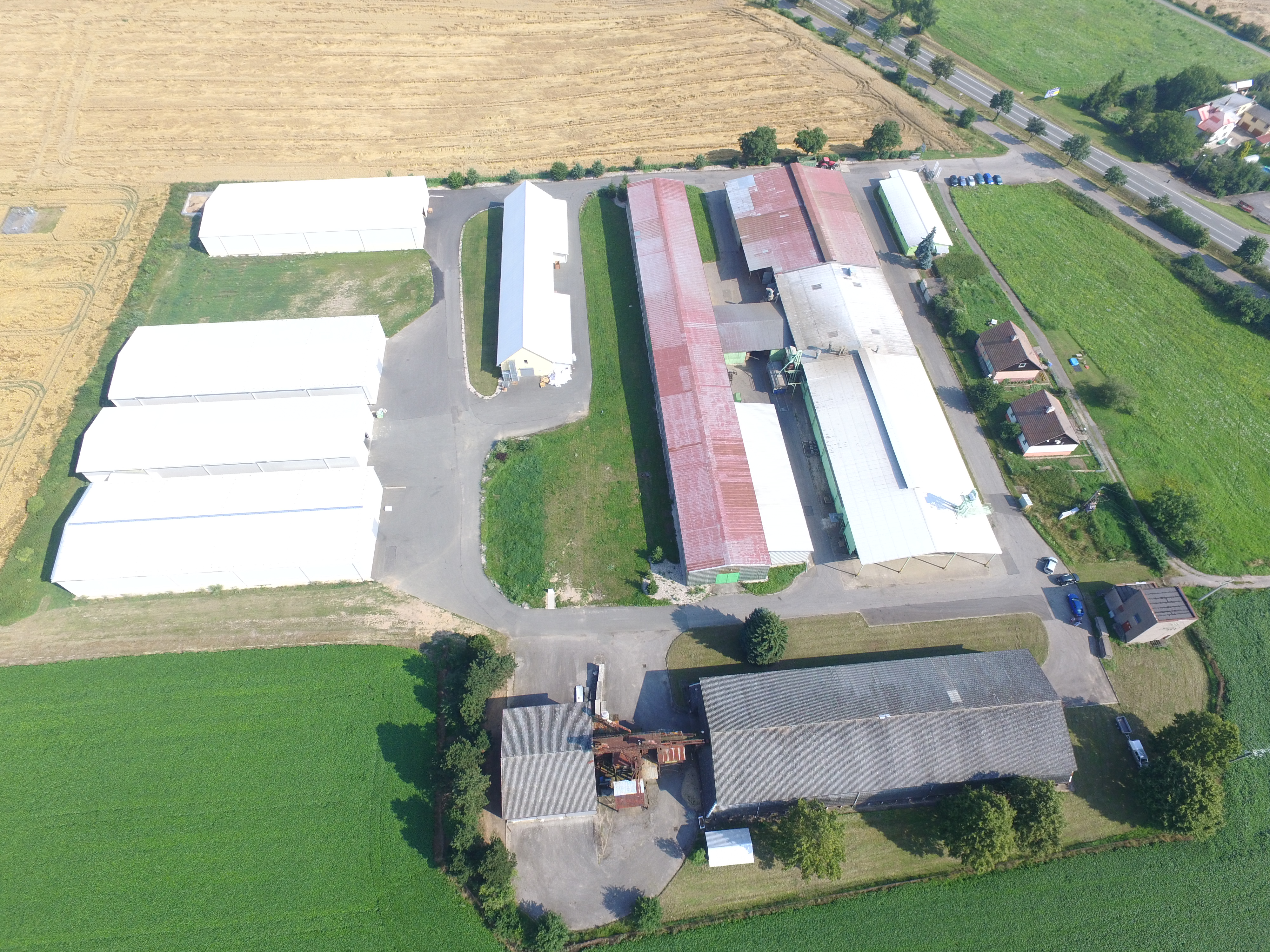 SEED SERVICE foto 2