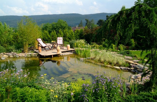 Zahradnictví flos, s.r.o. foto 4