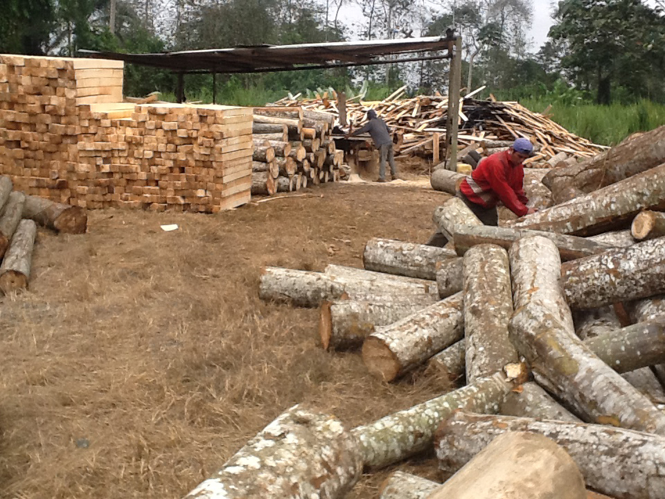 Balsa wood - František Bačík foto 3