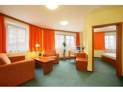 Hotel Záviš z Falkenštejna foto 3