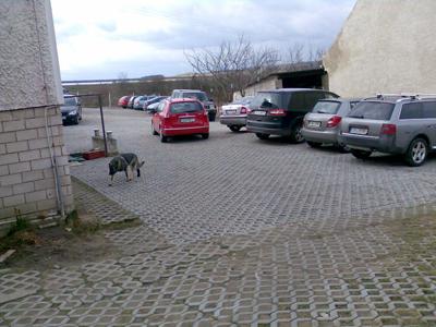 Parkoviště RICHTER foto 4