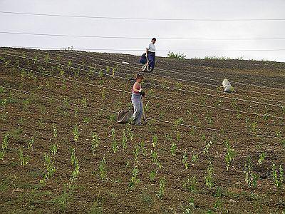 REKULTIVACE, a.s. foto 2