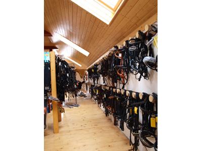 Equisun - jezdecké potřeby Čapek foto 2