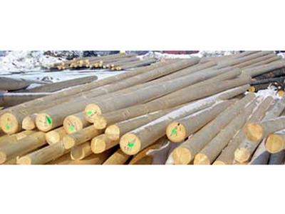 Proxima lesnická a dřevařská, a.s. foto 3