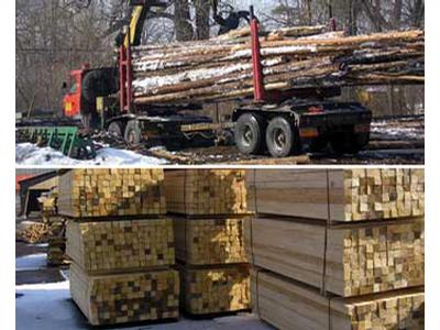 Proxima lesnická a dřevařská, a.s. foto 4