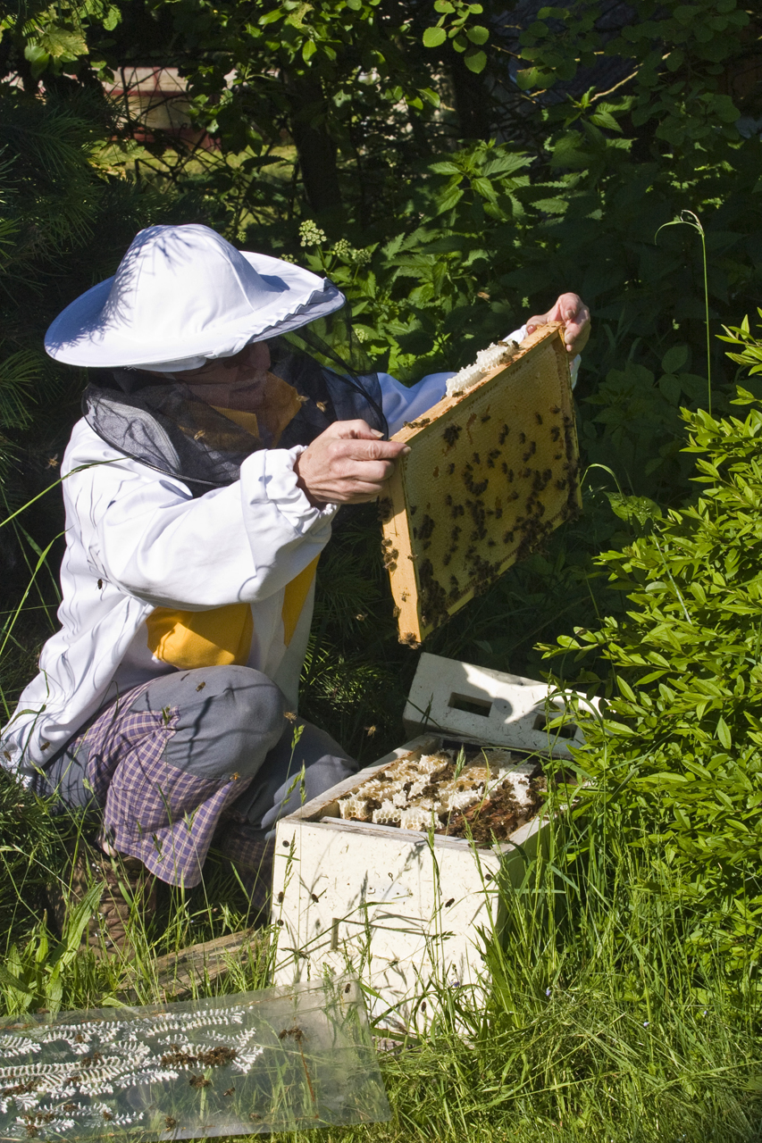 Medové víno Lstibůrek foto 3