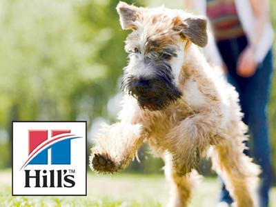 REFEREE RECODER foto 3