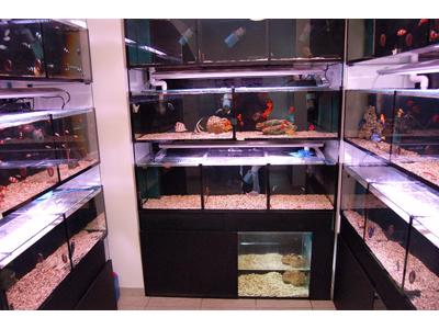 Mořské akvárium, s.r.o. foto 4