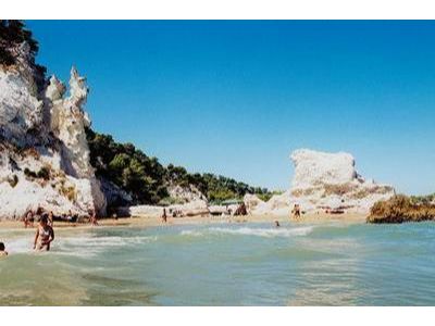 Sunny Travel, s.r.o. foto 2