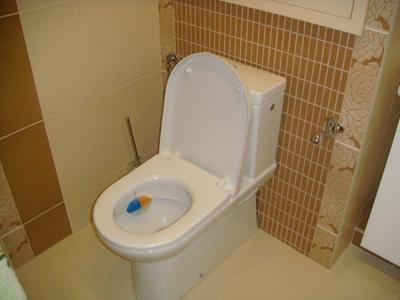 REST rekonstrukce - stavby foto 5