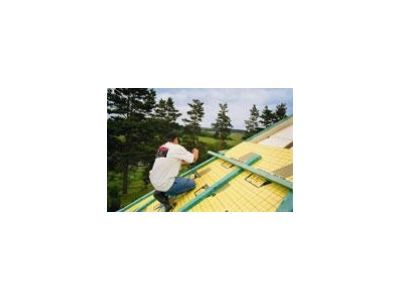 BACHL foto 4