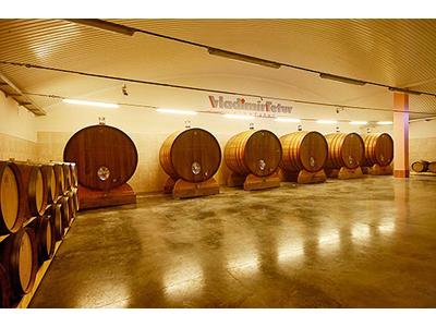 Vinařství Vladimír Tetur foto 3