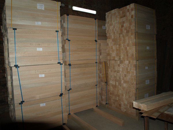 Balsa wood - František Bačík foto 2