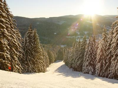 Ski areál Špičák foto 4