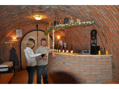 VINAŘSTVÍ ŠTĚPÁNEK, s.r.o.