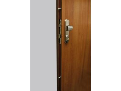 Dveře Vysočina foto 2