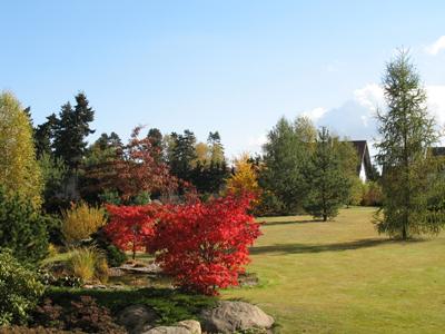 Ing. Petr Kosina foto 2