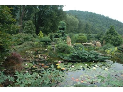 Pavel ČÍHAL - GINKGO - zahradní architektura foto 3